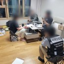 티비티비 이미지