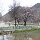 단산중학교 이미지
