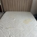 수리산성원 쌍떼빌2차 | [안양군포의왕과천] "자고 나면 몸이 벅벅 가려워요" 범인은 침대 속 강아지 소변과 좀벌레? (충격 현장...