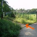 축제코스 이미지