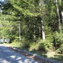 김씨농장 이미지