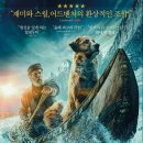 금광컴퍼니 | 영화 콜 오브 와일드 정보 및 시청후기 알려드립니다.