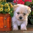 또하나의가족 이미지