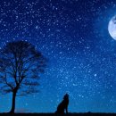 능동중학교 이미지