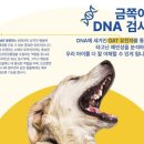 (주)피터펫 이미지