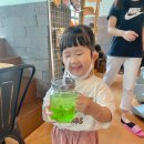 멍이와 쿤이 네이버블로그