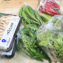 하늘이네 이미지