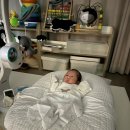 군산 쌍둥이 산후도우미 서비스 친정맘 솔직후기