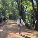 대전 가볼만한 곳 장동문화공원 계족산 황톳길 산책 후기