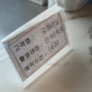 베베부부 | 안양 베베리움 스튜디오 만삭 촬영 후기 산본제일 연계