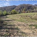 신수연공인중개사사무소 이미지