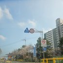 기장군농업기술센타 | [부산] 봄사진 찍기 좋고, 아이들과도 오기 좋은 기장용소웰빙공원