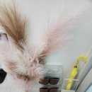 인천산후마사지: 아바산전산후에스테틱(산후마사지 후기)