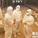 전혜숙농장 이미지