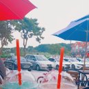 소새끼와육사시미 이미지