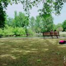 성북동-907 | 6/27-7/4 영국 (빅벤/런던아이/버킹엄궁전/타워브릿지/리젠츠공원/프림로즈힐/세븐시스터즈)