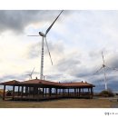 신창싱계물 이미지