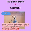 뭉치펫 이미지