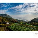 덕은농장 이미지