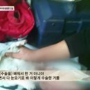 재왕 농장 네이버블로그