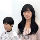 일리오하