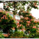 심곡초등학교 이미지