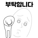 바다애오토캠핑장 이미지