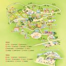 알파카월드 이미지