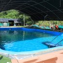 개똥이네 이미지