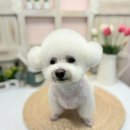 더귀엽개