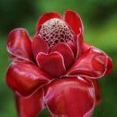 반포삼정공인중개사사무소 이미지