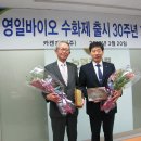 영일 이미지