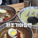 새가야밀면 | 가야밀면 | 밀면 7,000원 여름 필수 코스! 현지인도 줄 서는 '원조가야밀면' 솔직 후기 (물비빔면 강추)