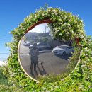 흥일자동차정비 이미지