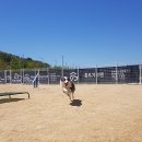 훈트가르텐 이미지