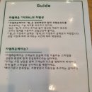 카멜레온미용실 | 카멜레온 헤어 망포 미용실 후기남겨요(내돈내산)