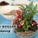 에코파크성지