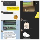 파티마미소약국 이미지