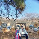 신라 진흥왕 행차길 이미지