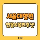 서울대학교병원 새마을금고 | 2026 서울대학교병원 간호사 채용! 신규간호사 급여 및 다양한 복리후생 총정리!