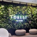 팔경하우스 | 제천단양 2박3일 여행 간략후기