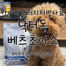 안전닥터협동조합 | 강아지알러지처방사료 닥터독 베츠초이스 노령견 먹여본 후기