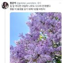 맹찌샵