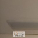 건전사