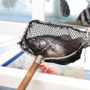 양지수산유통 이미지