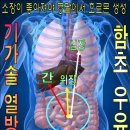 기가솔