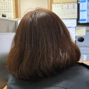 정호네농장 | 오랜만의 청송 라이프 (근데 진보 맛집을 곁들인..,,)