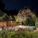 저지차경 이미지