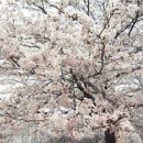 영진화성(주) 이미지
