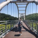 청도레일바이크 이미지